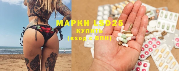 гашик Аркадак