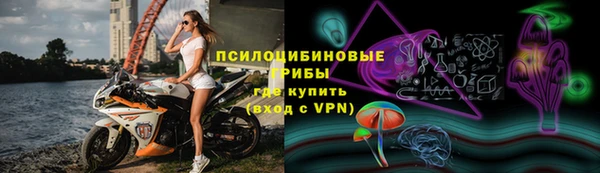 бошки Покровск
