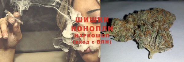 ECSTASY Пересвет