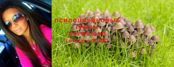 ECSTASY Пересвет